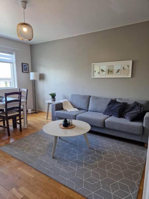 Apartment In Downtown Reykjavik Exterior photo